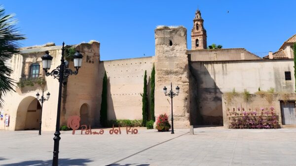Pozos de agua en palma del rio